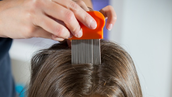 Lendrera para eliminar piojos